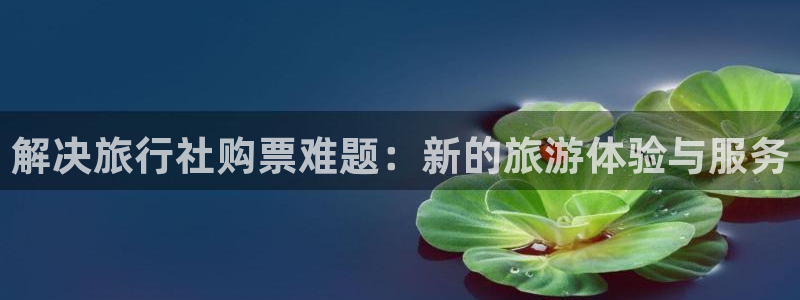 “海角社区官网最新入口网址是什么：解决旅行