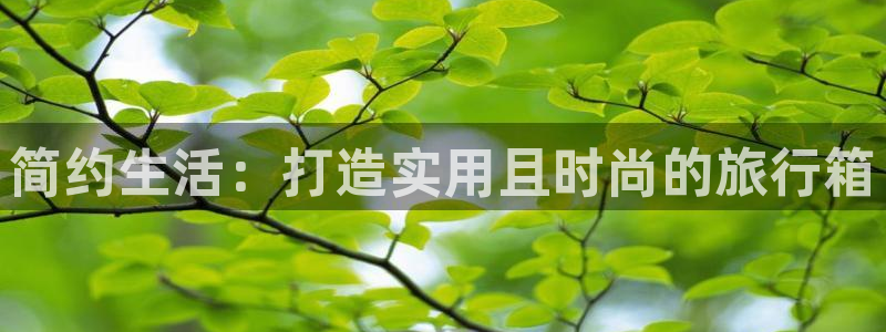 海角社区91www：简约生活：打造实用且
