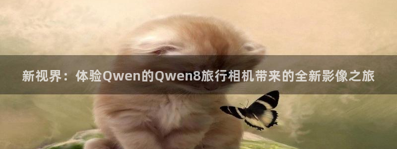 海角社区 首页：新视界：体验Qwen的Q