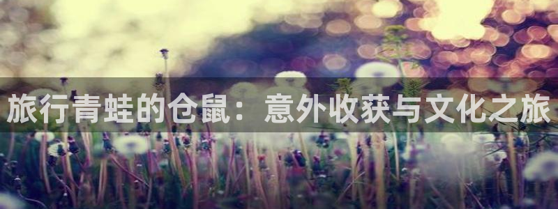 海角社区今日回家方式：旅行青蛙的仓鼠：意